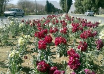 آمادگی شهرداری منطقه دو زاهدان برای استقبال از مسافران نوروزی/از کشت 60 هزار گلدان در میادین تا ‏نصب 12 المان در سطح شهر
