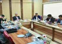 افزایش سطح مبارزه با ملخ های صحرایی در بیش از 170 هزار هکتار از اراضی استان/اعتباراختصاص یافته جوابگو نیست