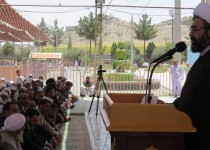 من دادستان قشر خاصی نیستم