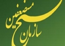 نمایشگاه دستاوردهای بسیج افتتاح شد