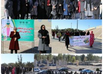 برگزاری همایش پیاده روی و ورزش صبحگاهی بانوان شاغل ادارات زاهدان