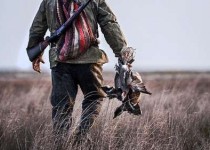 5 شکارچی متخلف در  دام  محیط زیست سیستان و بلوچستان