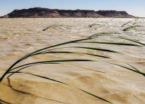 نفس‌های تازه تالاب بین‌المللی هامون پس از سالیان طولانی خشکسالی