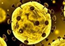 ثبت ۷۲ مورد مثبت کووید ۱۹ در منطقه نجف آباد خاش