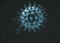 استفاده از ماسک در پیشگیری از کرونا ضروری است/رعایت بهداشت و تغذیه مناسب مکمل یکدیگرند