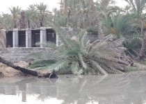 ​تند باد 108 کیلومتری به تاسیسات زیربنایی قصرقند خسارت زد/ از قطع برق تا مسدود شدن راه ارتباطی 23 روستا