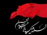 امام حسین(ع)برای اعتلای کلمه حق و احیای دین قیام کرد/اهل سنت اعتقاد و ارادت قلبی به سیدالشهدا دارند