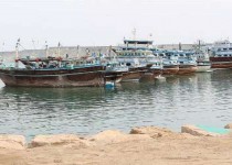 ممنوعیت صید ماهی شیر در آب‌های سواحل مکران و دریای عمان