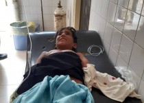 تهاجمی شدن گاندو ها در فصل زاد و ولد دردسر ساز شد