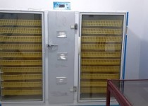 کارآفرینی برای 4 نفر در دو کارگاه خانگی توسط بانوی خوش فکر زاهدانی/صبر و پشتکار لازمه موفقیت در کار است