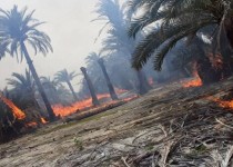 آتش‌سوزی یک میلیارد تومان به کشاورزان بزمانی خسارت وارد کرد