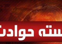 مادر و دختر سارق در زابل به دام افتادند / باند سارقان خودرو در زابل متلاشی شد