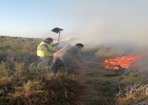 ۱۰ هکتار از مراتع تالاب بین‌المللی هامون در آتش سوخت