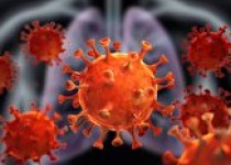 شناسایی ۳۷۱۲ بیمار جدید کرونا/ ۱۷۸ هموطن جان باختند