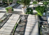 برگزاری مراسم غباررروبی و عطرافشانی مزار شهدای در زاهدان