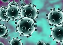 کرونا، جان ۱۷۹ نفر دیگر را گرفت/ شناسایی ۳۵۲۳ بیمار جدید کووید۱۹در کشور