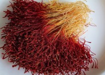 زعفران خاش در راه بازار