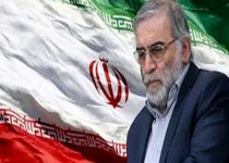 آمریکا گرگ است و تا زمانی که خوی گرگ صفتی دارد، مذاکره چه معنی دارد