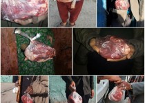 توزیع 100 بسته گوشت قرمز در قالب کمک مومنانه  بین نیازمندان در زاهدان