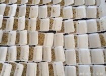 توزیع 600  پرس غذای گرم بین نیازمندان زاهدانی