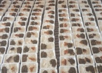 طبخ و توزیع بیش از 1700  پرس غذای گرم در زاهدان