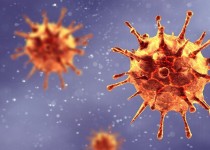 موردی از کرونای انگلیسی در سیستان و بلوچستان نداشتیم/وضعیت کنونی با ثبات اما شکننده است