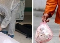 کارکنان آرامستان و پاکبانان در الویت دریافت واکسن کرونا قرار می گیرند