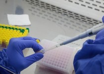انجام بیش از 22 هزار مورد انواع آزمایش در آزمایشگاه های دامپزشکی سیستان و بلوچستان