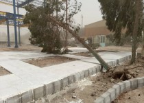 سقوط ۳۴۹ اصله درخت و تخریب 23 دیوار منازل مسکونی در زاهدان/تداوم عملیات پاکسازی و ایمن سازی تا پایان طوفان