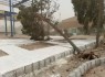 سقوط ۳۴۹ اصله درخت و تخریب 23 دیوار منازل مسکونی در زاهدان/تداوم عملیات پاکسازی و ایمن سازی تا پایان طوفان