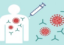 واکسیناسیون ایمنی قوی‌تری در بدن ایجاد می‌کند یا ابتلا به کرونا؟