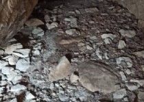 مشاهده آثار رد پای خرس سیاه آسیایی در جنوب سیستان و بلوچستان