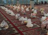 توزیع 200 پرس غذای گرم و 60 بسته معیشتی بین نیازمندان زاهدانی