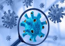 بایدها و نبایدها در مقابله با موج ششم کرونا/ راه های پیشگیری از ابتلا به کرونا در طب سنتی و مدرن