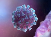 ۱۶۹ بیمار جدید کرونایی در سیستان و بلوچستان شناسایی شدند