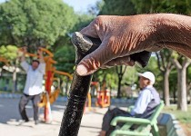 احساس خستگی پیش بینی کننده مرگ زودهنگام در سالمندان