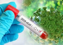 ۸۱۰ بیمار جدید کرونایی در سیستان و بلوچستان شناسایی شدند