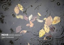 گزارش بارندگی در ۱۶ ایستگاه هواشناسی سیستان و بلوچستان