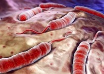 التور؛ یک طغیان بیماری منتقله از غذا/ کشورهای همسایه شرقی عامل بیماری های ویروسی هستند