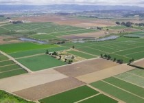 اجرای طرح معطل 10 ساله کشاورزی در دولت سیزدهم/اصلاح یارانه ها مسیر اجرای الگوی کشت را هموار کرد