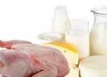عوارض صادراتی ۴ محصول پروتئینی و لبنی حذف شد