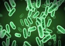 وبا بیماری خطرآفرین در تابستان/ چگونه می‌توان از ابتلا به بیماری‌های منتقله از آب و غذا پیشگیری کرد؟