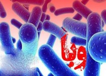 وبا بیماری عفونی که اگر به موقع درمان نشود موجب مرگ می شود/ تشدید اقدامات بهداشتی در مبادی ورودی مرزهای استان