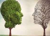 سلامت روان، اکسیر زندگی