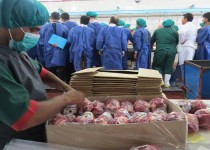 ظرفیت تولید صنایع کشاورزی و غذایی زاهدان به بیش از ۱۵۵ هزار تن رسید