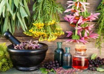 صنعت «گیاهان دارویی» سیستان و بلوچستان نیازمند توجه بیشتر