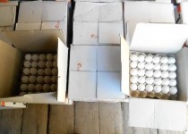 تخم مرغ های قاچاق توزیع نشد