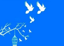 ۷۹۰ میلیارد ریال برای آزادی زندانیان جرائم غیرعمد استان نیاز است