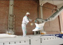 فعالیت ۱۱ کارخانه آرد در سیستان و بلوچستان