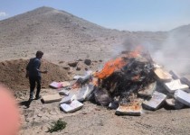 معدوم‌سازی ۲ تن فرآورده خام دامی تاریخ مصرف گذشته